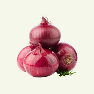 Shallot Red onion