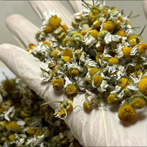 Chamomile flowers