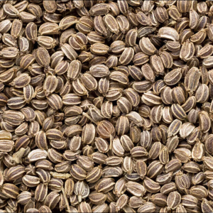 Dill seeds
