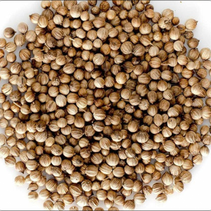 Coriander