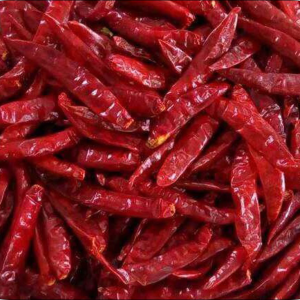 Hot chili pepper