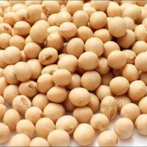 Soya bean