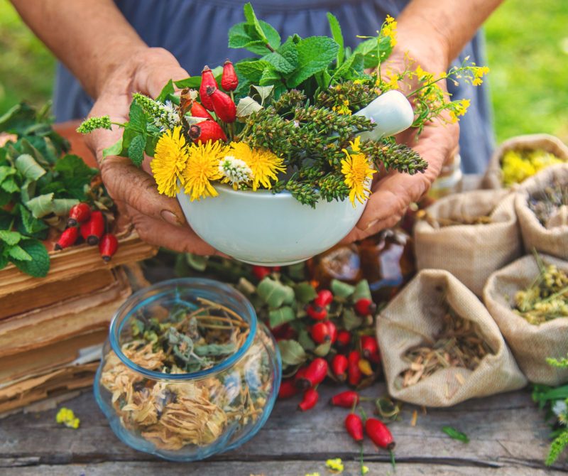 Medicinal herbs alternative medicine old woman. Selective focus. Nature.